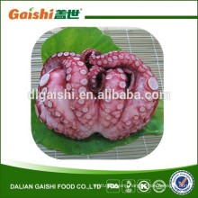 SASHIMI FOOD FROZEN OCTOPUS VULGARIS